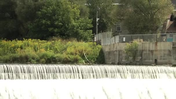 Wasserfall im Park — Stockvideo