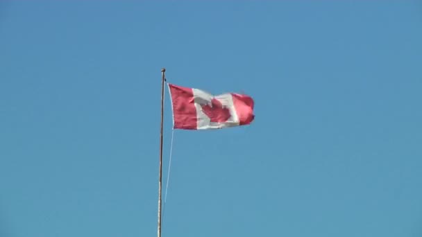 Bandeira Nacional do Canadá agitando-se ao vento — Vídeo de Stock