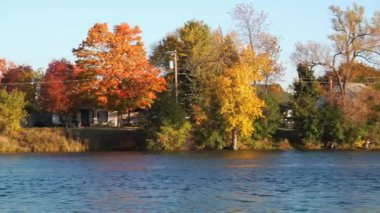 Nehrin Otonabee Kanada sonbahar.