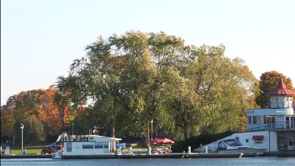 Boats, river and trees. — Stock Video