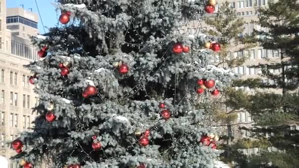 Arbre de Noël dans le parc d'hiver. Zoom arrière . — Video