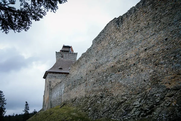 Hiver Enneigé Dans Château Médiéval Kasperk Dans Parc National Sumava — Photo