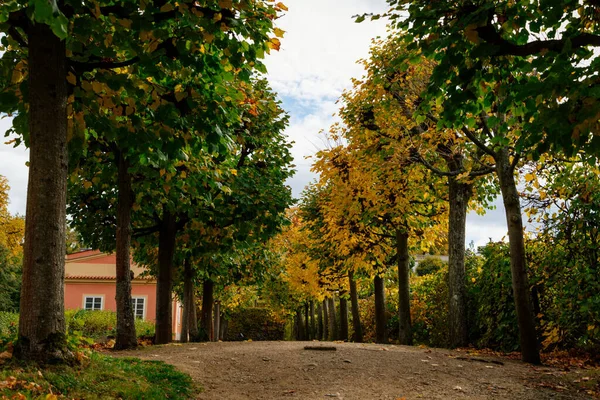 Rococo Chateau Distinguished Facade Amazing Castle Garden Alley Trees Castle — Stock Photo, Image