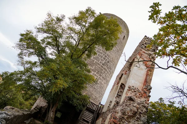 Ruins Gothic Medieval Castle Zebrak Village Tocnik Autumn Central Bohemia — Φωτογραφία Αρχείου