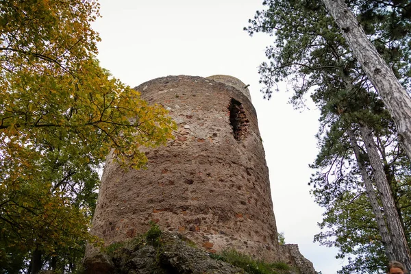 Ruiny Gotyckiego Średniowiecznego Zamku Zebrak Miejscowości Tocnik Jesienią Czechy Środkowe — Zdjęcie stockowe