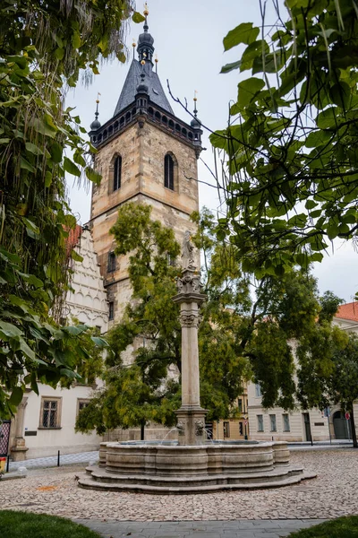 Fontanna Posągiem Józefa Placu Karola Pobliżu Gotyckiego Renesansowego Nowego Ratusza — Zdjęcie stockowe