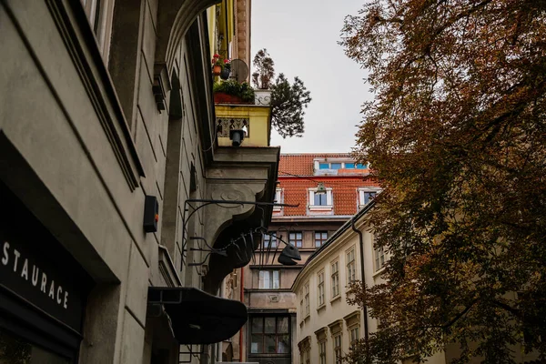 Opatovicka Street Historical Buildings Autumn Day Prague Czech Republic Bohemia — Stock Photo, Image