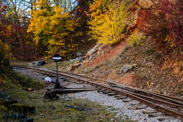 Velha Ferrovia Bitola Estreita Floresta Outono Carris Travessas Museu Industrial — Fotografia de Stock