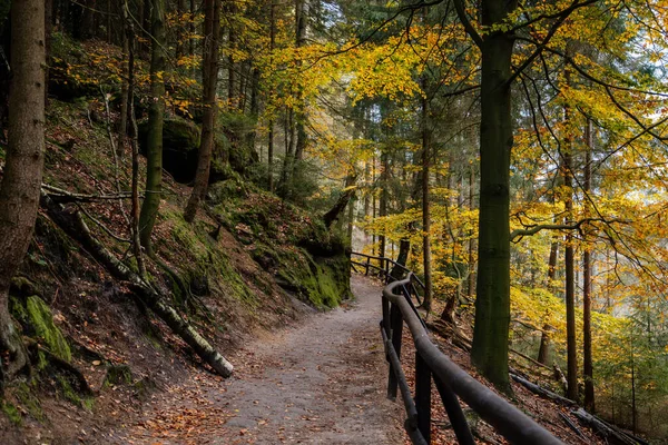 Pintoresca Vista Del Parque Nacional Suiza Bohemia Otoño Sendero Cubierto —  Fotos de Stock