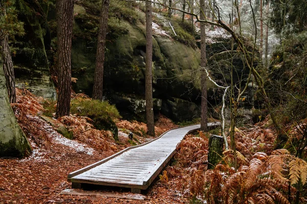 Sněžná Stezka Záhadná Rokle Podzimním Lese Turistická Stezka Zlatého Ráje — Stock fotografie
