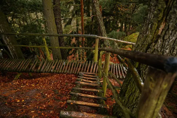 Uppåtgående Smal Stig Smala Trappsteg Med Räcke Mitt Skogen Trägolv — Stockfoto