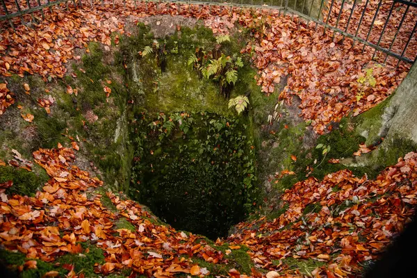 Dobrze Wypełnione Jesiennymi Liśćmi Wędrówka Złoty Szlak Czeskiego Raju Pobliżu — Zdjęcie stockowe