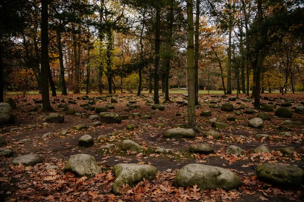 Wejście Spiralnego Mistycznego Orientalnego Labiryntu Kamiennego Zielonym Ogrodzie Symbol Estetyczny — Zdjęcie stockowe