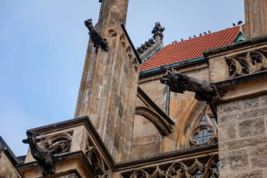 Ortaçağ 'da St Bartholomews Kilisesi' nin sonbahar gününde dar açı manzarası, kemerli pencereler, kimeralar ve heykeller, Gotik Katedral, Kolin, Merkez Bohemya, Çek Cumhuriyeti, 28 Kasım 2020
