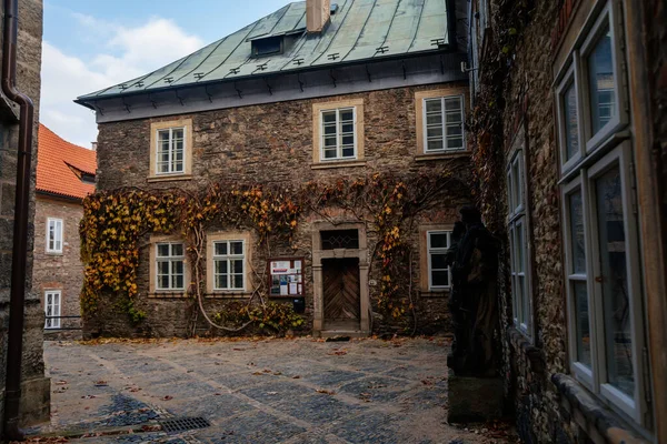 Museo Regionale Con Parete Ricoperta Edera Museo Dvoraks Preistoria Scuola — Foto Stock