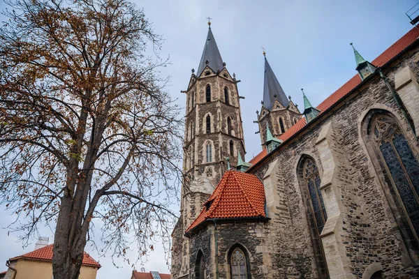 Ortaçağ St. Bartholomews Kilisesi sonbahar gününde, kemerli pencereler, kimeralar ve heykeller, Gotik Katedral ve çan kulesi ile birlikte Kolin, Merkez Bohemya, Çek Cumhuriyeti, 28 Kasım 2020