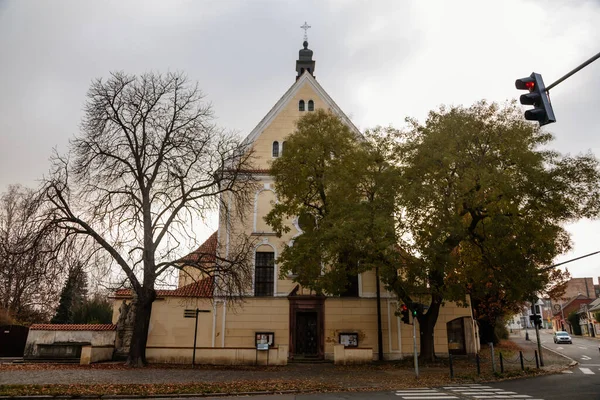 Gele Barokke Kerk Van Heilige Drie Eenheid Het Oude Historische — Stockfoto