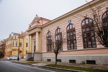 Çatıda sütunları ve griffinleri olan tarihi neo-klasik bina, Sokolovna, jimnastik organizasyonu Sokol hareketi, sonbahar günü, Cesky Brod, Central Bohemia, Çek Cumhuriyeti, 28 Kasım 2020
