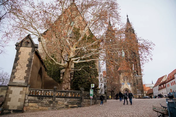 Cattedrale Medievale Gotica Meissen Nel Cortile Del Castello Albrechtsburg Bella — Foto Stock