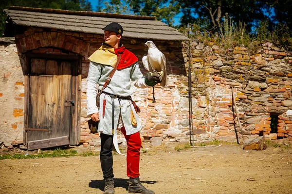 Fest Des Schlosses Pernstejn Mittelaltermarkt Falknervorstellung Greifvogel Mann Historischen Kostümen — Stockfoto