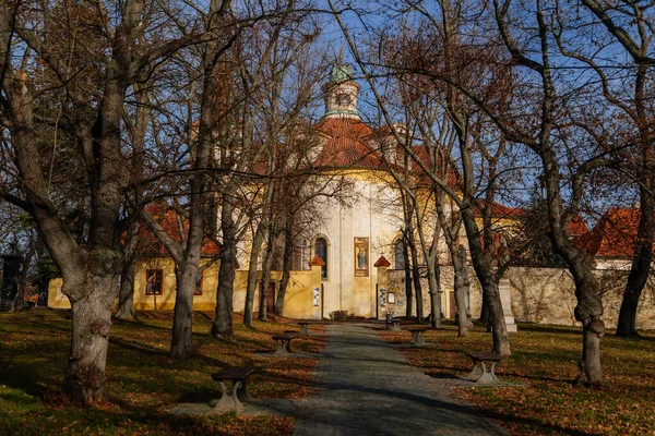 Alley Trees Front Entrance Yellow Baroque Church Holy Trinity Discalced — Stock Photo, Image