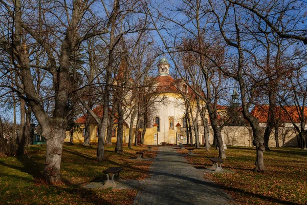 Alley Trees Front Entrance Yellow Baroque Church Holy Trinity Discalced — Stock Photo, Image