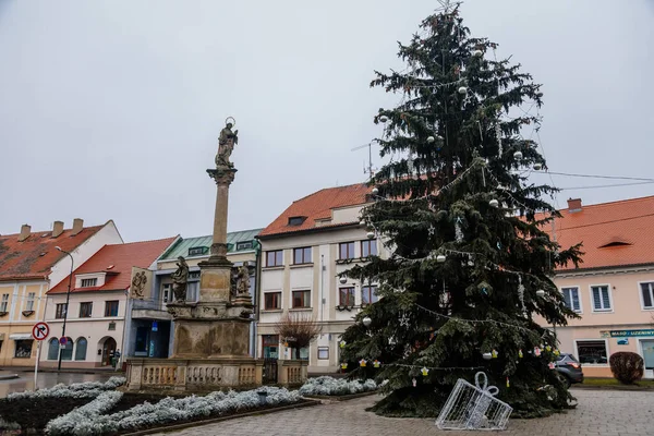 Barokowa Kolumna Maryjna Choinka Placu Maja Libochovice Zimowy Dzień Litomerice — Zdjęcie stockowe