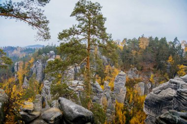 Sandstone uçurumları Prachovske Skaly Prachov Kayaları, tabiattaki renkli ağaçlarla manzara sonbahar gününde Ulusal Park Cesky Raj, Çek Cumhuriyeti 'nin Bohemya Cenneti' nde kaya oluşumu, 10 Kasım 2018