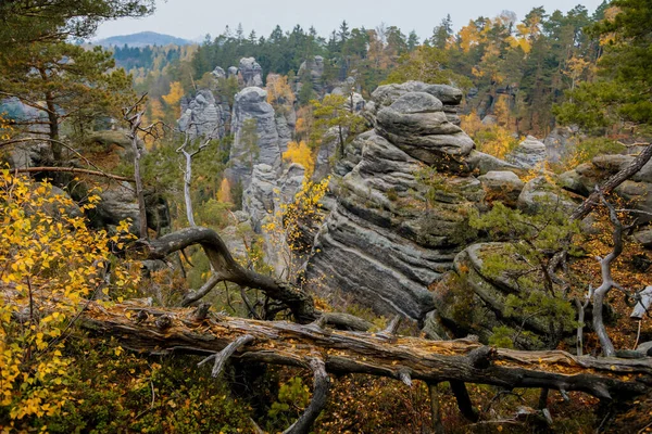 Sandstone Clips Prachovske Skaly Prachov Rocks Τοπίο Πολύχρωμα Δέντρα Στη — Φωτογραφία Αρχείου