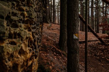 Taşın üzerinde turist işareti, kumtaşı oluşumu, Kokorinsko 'daki Rock City Maze, Mseno yakınlarındaki Cinibulkova Stezka, Çek Cumhuriyeti sonbahar ormanlarındaki gizemli vadi, 26 Aralık 2020