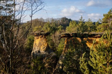 Msenske Poklicky eşsiz kumtaşı masa taşı oluşumu, Kokorin Korunan manzara alanı, güneşli bir günde orman, mavi patika Drouzkovska cesta, Çek Cumhuriyeti Kokorinsko 'da yürüyüş, 26 Aralık 2020