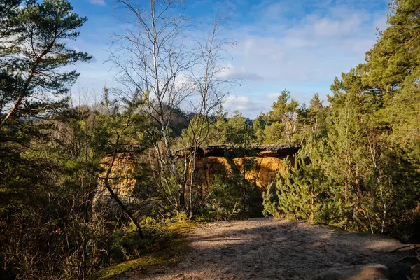 Msenske Poklicky Unika Sandstensbord Klippformation Kokorin Skyddat Landskap Område Skog — Stockfoto