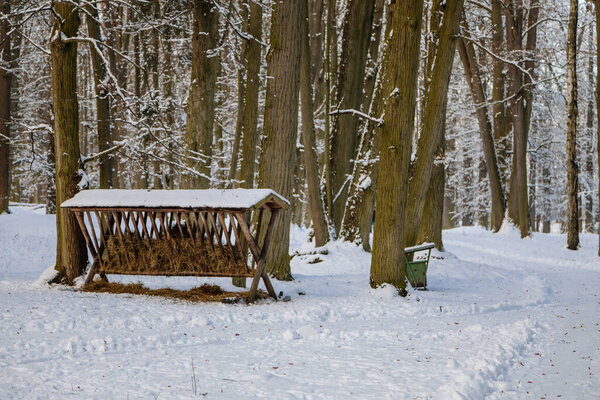 Hay feeder for deer and stags in the forest, the garden of medieval Castle Blatna in winter sunny day, Czech Republic, January 09, 2021