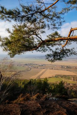 Herald 'ın bakış açısı, güneşli bir günde Bohem Cenneti' nin sonbahar kumtaşı manzarası, kaya oluşumunda kış Drabske svetnicky, çam dalları, Çek Cumhuriyeti 'nin Bohem Cenneti' nin Yürüyüş Altın Patikası