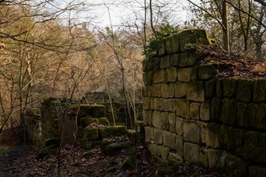 Ortaçağ şatosu Klamorna 'nın taş kalıntıları güneşli kış gününde Drabske svetnicky yakınlarında, tepenin üstündeki antik kale, Çek Cumhuriyeti' nin Bohemya Cenneti Yürüyüşü Altın Yolu, 05 Aralık 2020