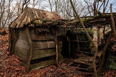 Ormandaki eski terk edilmiş kulübe, ahşap bina, çürümüş zemin ve çökmüş çatı, sopalardan ve dallardan yapılmış kulübe, Bohem Cenneti 'nin sonbahar manzarası, renkli ağaçlar, Çek Cumhuriyeti Ulusal Parkı,