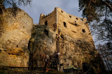 Eski rock ortaçağ kalesi Valecov 'un taş gotik kalıntıları Noel' den önceki güneşli kış gününde, tepenin üstündeki antik kale, Bohemya Cenneti, Bosen, Çek Cumhuriyeti, 05 Aralık 2020