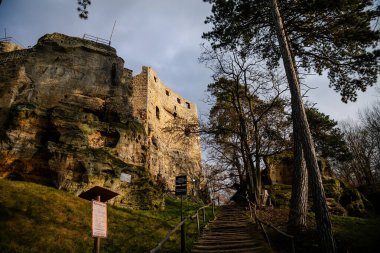 Eski rock ortaçağ kalesi Valecov 'un taş gotik kalıntıları Noel' den önceki güneşli kış gününde, tepenin üstündeki antik kale, Bohemya Cenneti, Bosen, Çek Cumhuriyeti, 05 Aralık 2020