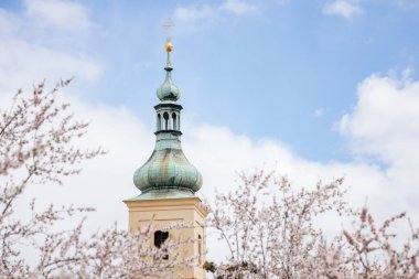 Petrin Tepesi, kiraz çiçeği, Meryem Ana 'nın Katolik Kilisesi ve Mala Strana' daki Bebek İsa Kulesi, ilkbahar güneşli günü, meyve ağaçları bahçesi, Prag, Çek Cumhuriyeti, 08 Nisan 2021