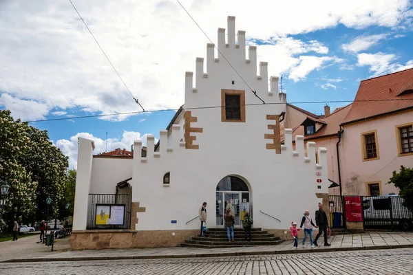 Utställningshall Galleri Masne Kramy Eller Medeltida Köttaffärer Centrum Plzen Solig — Stockfoto