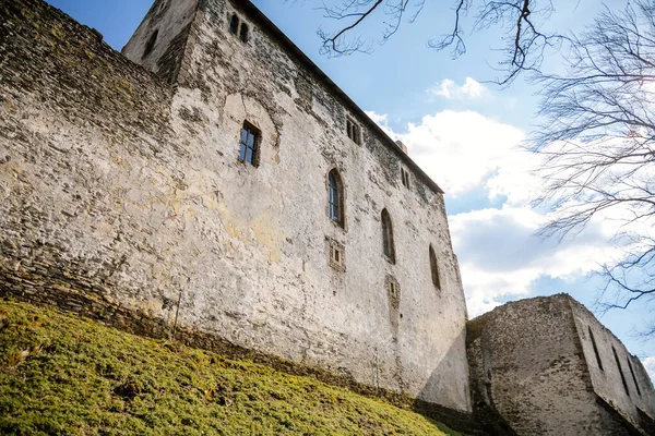 Castello Gotico Medievale Bezdez Rovina Pietra Grigia Sulla Collina Durante — Foto Stock