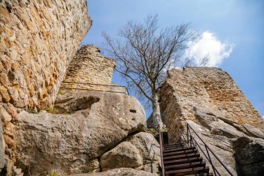 Ortaçağ Gotik şatosu Frydstejn güneşli bir günde, popüler kalenin romantik kalıntıları, Mala Skala yakınlarındaki devasa yuvarlak kulesi, antik kale, Bohemya Cenneti, Çek Cumhuriyeti, 08 Mayıs 2021