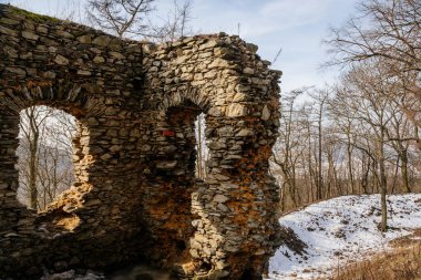 Ortaçağ gotik kalesi Kostomlaty veya Sukoslav kar altında, güneşli kış gününde tepede gri taş yıkıntısı, antik kale, peri masalı kalesi, koruma duvarları, mavi gökyüzü, Çek Cumhuriyeti, 20 Şubat 2021