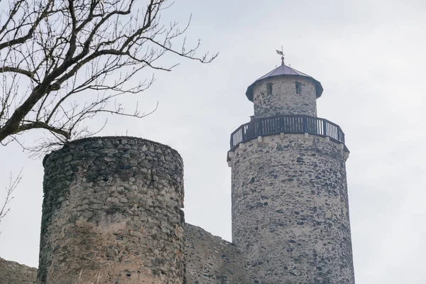 Μεσαιωνικό Γοτθικό Κάστρο Kostomlaty Sukoslav Γκρι Πέτρινο Ερείπιο Στο Λόφο — Φωτογραφία Αρχείου