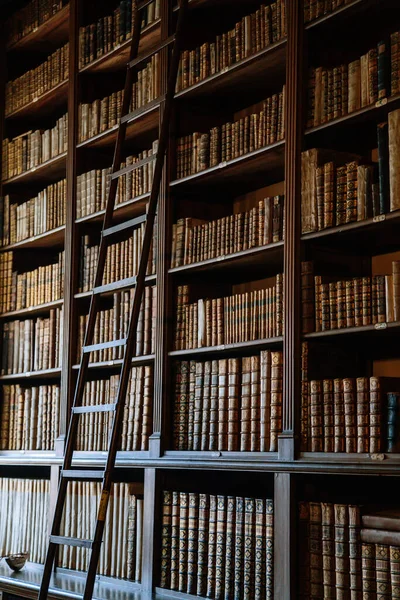 Castle Interior Library High Bookshelves Full Old Books Staircase Baroque — Stock Photo, Image