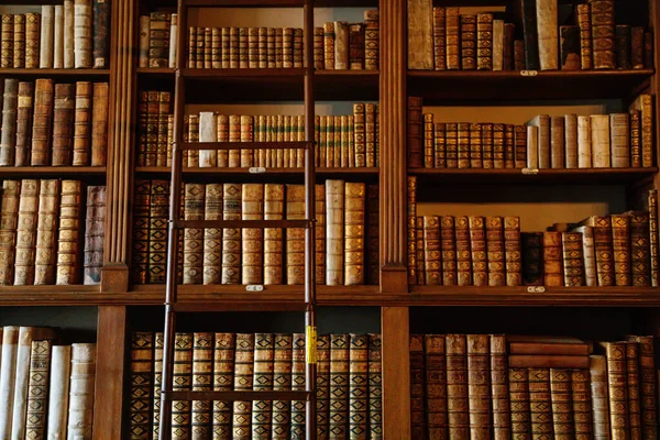 Castillo Interior Biblioteca Con Estantes Altos Llenos Libros Antiguos Escalera —  Fotos de Stock