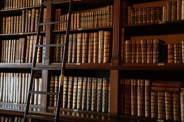 Castle Interior Library High Bookshelves Full Old Books Staircase Baroque — Stock Photo, Image