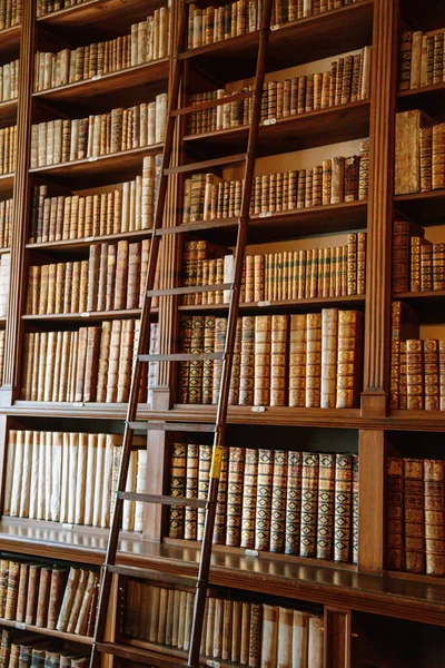Castle Interior Library High Bookshelves Full Old Books Staircase Baroque — Stock Photo, Image