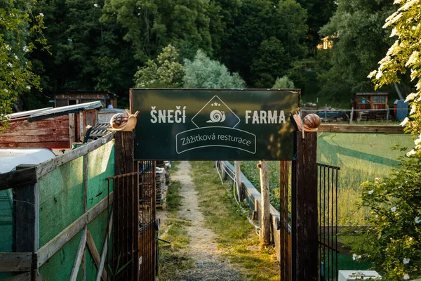 Soukromá Šnečí Farma Sneciho Farma Vstupní Brána Dřevěná Cedule Šnečí — Stock fotografie