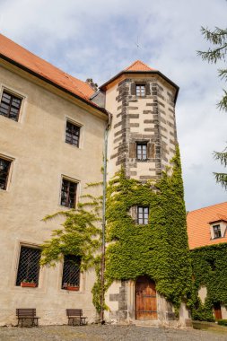 Benesov nad Ploucnici, Kuzey Bohemya, Çek Cumhuriyeti, 26 Haziran 2021: Güneşli yaz gününde eski Saksonya Rönesans kalesi, örümcekli taş kuleler, sarmaşık örgülü bej duvarlar, sokakta yeşil ağaçlar.